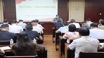 片仔癀化妆品公司召开党总支（扩大）会议传达学习党的二十届四中全会精神